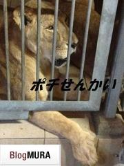 ブログランキング・にほんブログ村へ