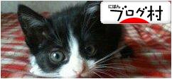ブログランキング・にほんブログ村へ