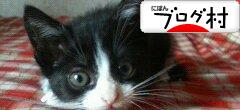 ブログランキング・にほんブログ村へ