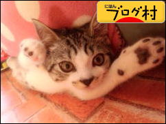 ブログランキング・にほんブログ村へ