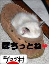 ブログランキング・にほんブログ村へ