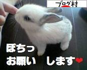 ブログランキング・にほんブログ村へ