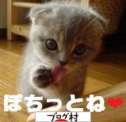 ブログランキング・にほんブログ村へ