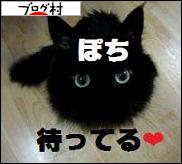 ブログランキング・にほんブログ村へ