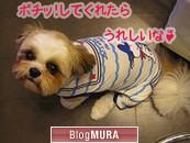 ブログランキング・にほんブログ村へ