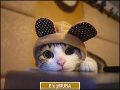 ブログランキング・にほんブログ村へ