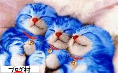 ブログランキング・にほんブログ村へ