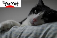 ブログランキング・にほんブログ村へ