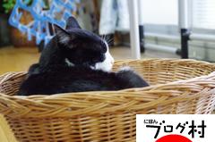 ブログランキング・にほんブログ村へ