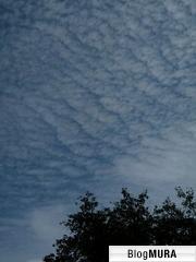 ブログランキング・にほんブログ村へ