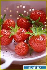 ブログランキング・にほんブログ村へ ブログランキング・にほんブログ村へ