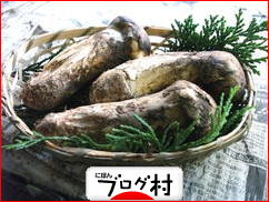 ブログランキング・にほんブログ村へ