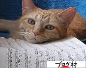 ブログランキング・にほんブログ村へ