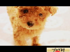 ブログランキング・にほんブログ村へ