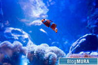 ブログランキング・にほんブログ村へ