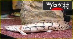 ブログランキング・にほんブログ村へ