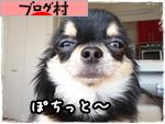 ブログランキング・にほんブログ村へ