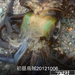 ブログランキング・にほんブログ村へ