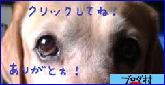 ブログランキング・にほんブログ村へ