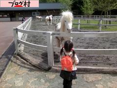 ブログランキング・にほんブログ村へ