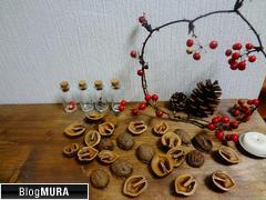 ブログランキング・にほんブログ村へ