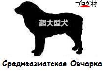 ブログランキング・にほんブログ村へ