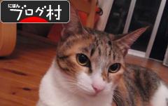 ブログランキング・にほんブログ村へ