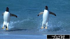 ブログランキング・にほんブログ村へ