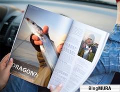 ブログランキング・にほんブログ村へ