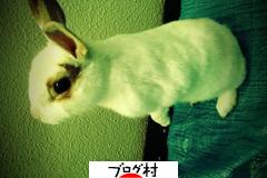 ブログランキング・にほんブログ村へ