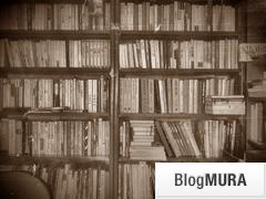 ブログランキング・にほんブログ村へ