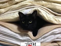 ブログランキング・にほんブログ村へ