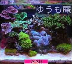 ブログランキング・にほんブログ村へ