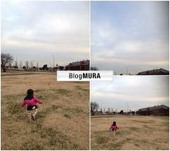 ブログランキング・にほんブログ村へ