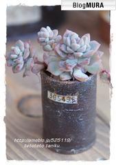 ブログランキング・にほんブログ村へ