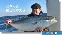 ブログランキング・にほんブログ村へ