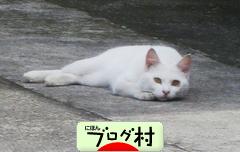 ブログランキング・にほんブログ村へ