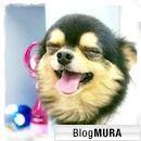 ブログランキング・にほんブログ村へ