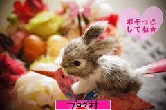 ブログランキング・にほんブログ村へ