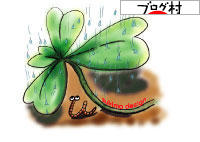 ブログランキング・にほんブログ村へ