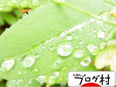 ブログランキング・にほんブログ村へ
