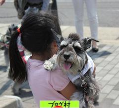 ブログランキング・にほんブログ村へ