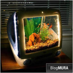 ブログランキング・にほんブログ村へ