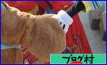 ブログランキング・にほんブログ村へ
