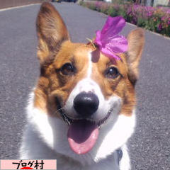 ブログランキング・にほんブログ村へ