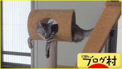 ブログランキング・にほんブログ村へ