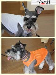 ブログランキング・にほんブログ村へ