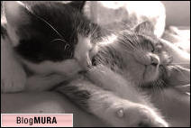 ブログランキング・にほんブログ村へ