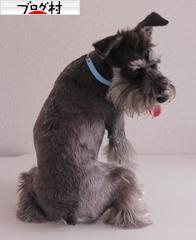 ブログランキング・にほんブログ村へ