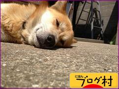 ブログランキング・にほんブログ村へ